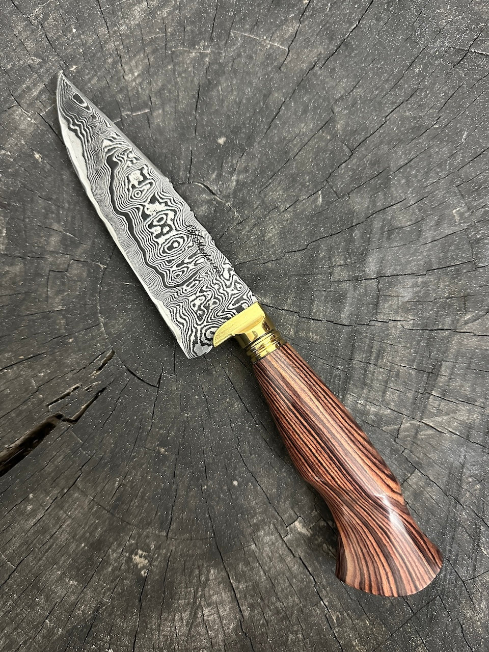 6&quot; Damascus Knife, Jacaranda Hardwood, CS1095 15n20