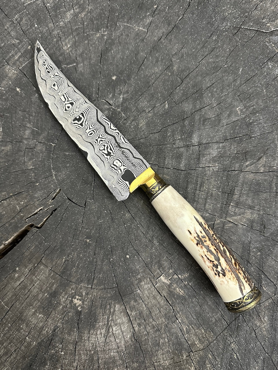 6.7" Damascus Knife, Deer Antler, CS1095 15n20