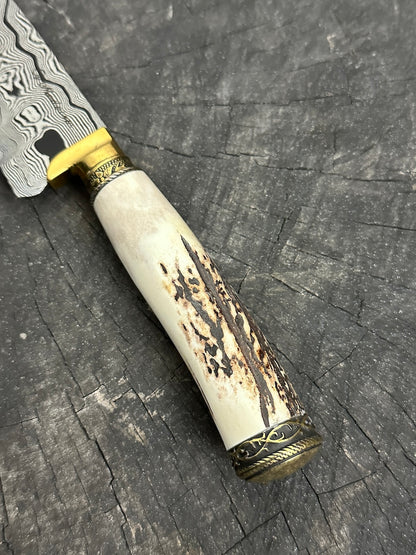 6.7&quot; Damascus Knife, Deer Antler, CS1095 15n20