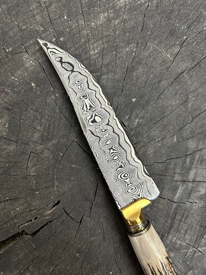 6.7&quot; Damascus Knife, Deer Antler, CS1095 15n20