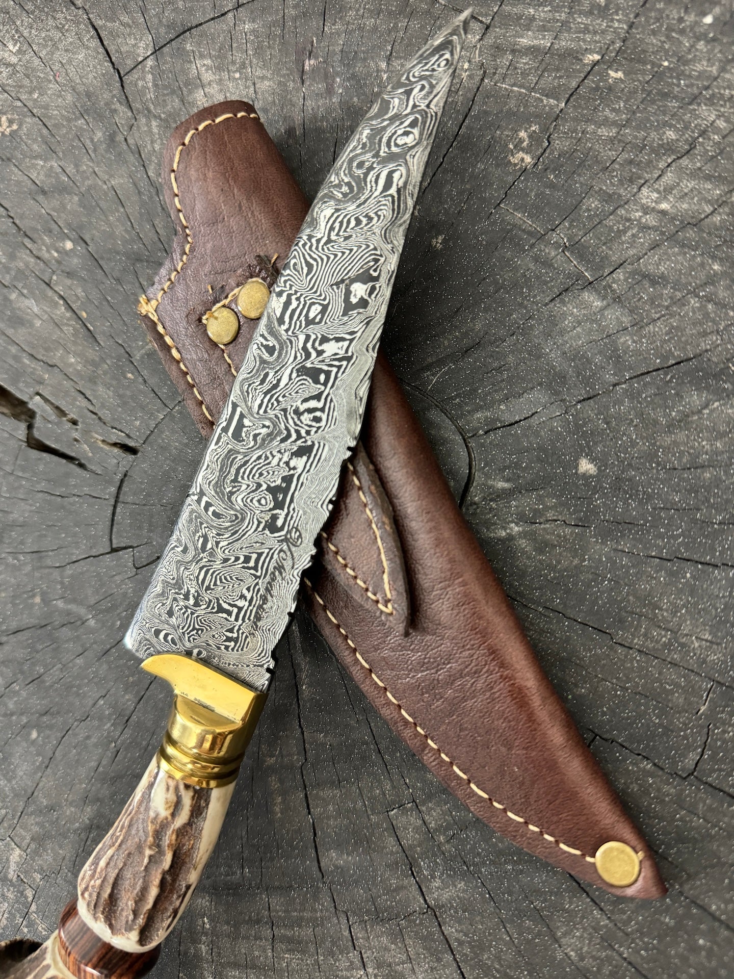 6&quot; Damascus Knife, Deer Antler, CS1095 15n20