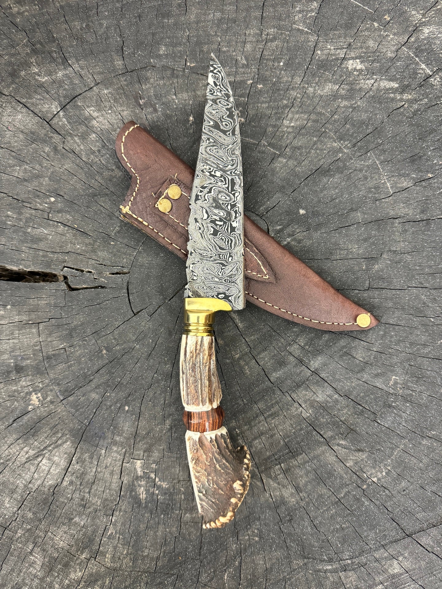 6&quot; Damascus Knife, Deer Antler, CS1095 15n20