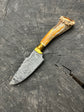 4.5" Damascus Skinner Knife, Deer Antler, CS1095 15n20