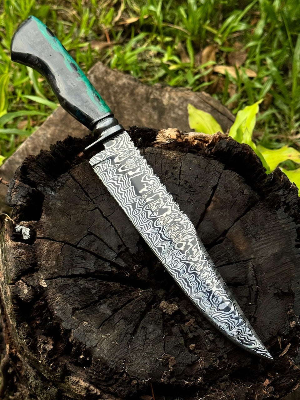 8" Damascus Bowie Knife, Cactus Cholla handle, 220 Layers CS1095 15n20
