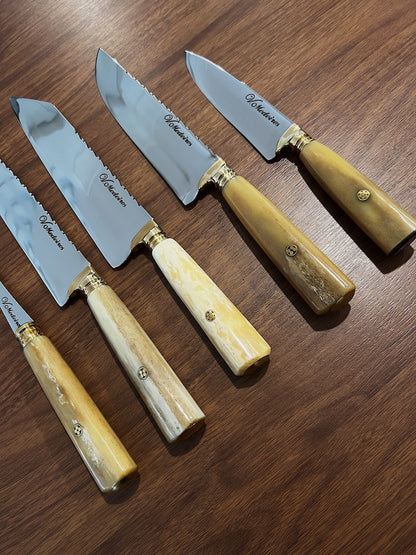 BBQ Knife Set of Ostrich Bone Handles SS440