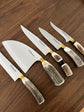 BBQ Knife Set of Deer Antler Handles SS440